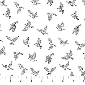 White/Black 28533-10 Nature's Sketchbook Cotton 44"/45" Fabric Per Yard
